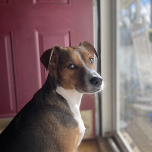 Fundraising Page: Summer VanNostrand